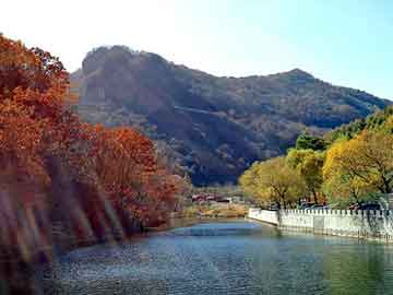 新澳天天开奖资料大全旅游团，天涯国际观察